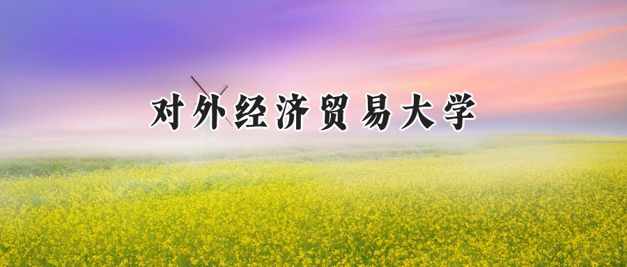 对外经济贸易大学