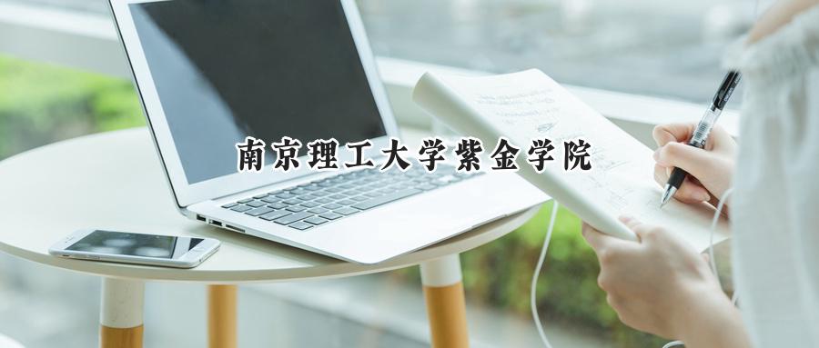 南京理工大学紫金学院
