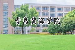青岛黄海学院2024在山东录取分数线是多少？最低241分/最高493分