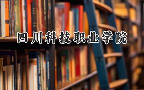 四川科技職業(yè)學(xué)院2024在青海錄取分?jǐn)?shù)線是多少？最低232分/最高264分