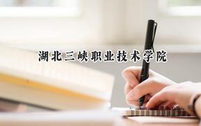 湖北三峡职业技术学院2024在青海录取分数线是多少？最低285分/最高334分