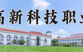 西安高新科技职业学院2024在山东录取分数线是多少？最低305分/最高389分
