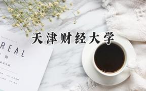 天津财经大学2024在新疆录取分数线是多少？最低398分/最高498分