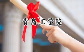 青岛工学院2024在青海录取分数线是多少？最低325分/最高397分