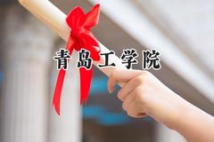 青岛工学院2024在青海录取分数线是多少？最低325分/最高397分