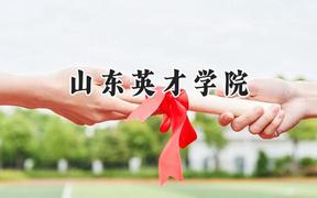 山东英才学院2024在青海录取分数线是多少？最低210分/最高383分