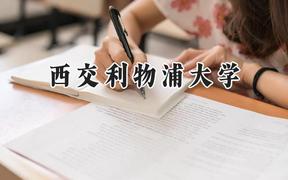 西交利物浦大学2024在福建录取分数线是多少？最低553分/最高588分