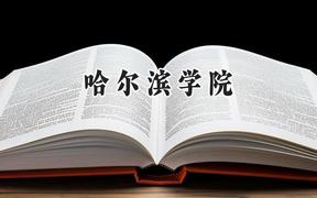 哈尔滨学院2024在青海录取分数线是多少？最低354分/最高439分