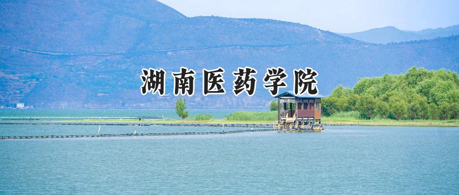 湖南医药学院