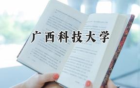广西科技大学2024在山东录取分数线是多少？最低460分/最高526分