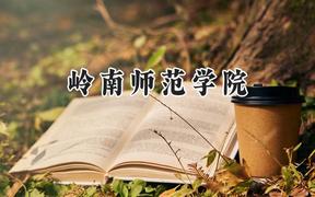 岭南师范学院2024在山东录取分数线是多少？最低450分/最高540分