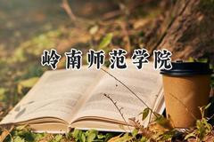 岭南师范学院2024在山东录取分数线是多少？最低450分/最高540分