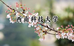 西南科技大學(xué)2024在青海錄取分?jǐn)?shù)線(xiàn)是多少？最低408分/最高478分