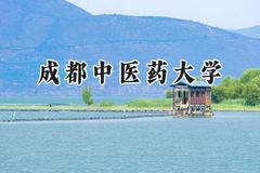 成都中医药大学2024在山东录取分数线是多少？最低528分/最高613分