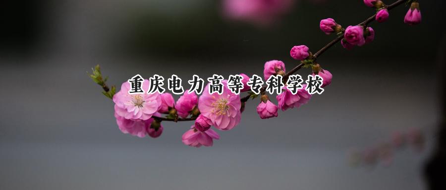 重庆电力高等专科学校