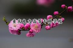 重庆电力高等专科学校2024在青海录取分数线是多少？最低317分/最高389分