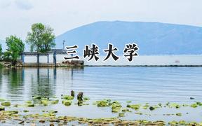 三峡大学2024在山东录取分数线是多少？最低524分/最高599分