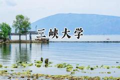 三峡大学2024在山东录取分数线是多少？最低524分/最高599分