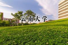 云南大学2024在青海录取分数线是多少？最低447分/最高510分
