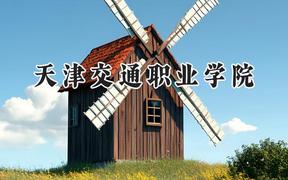 天津交通职业学院2024在山东录取分数线是多少？最低309分/最高468分