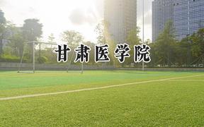 甘肃医学院2024在山东录取分数线是多少？最低488分/最高536分