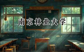 南京林业大学2024在新疆录取分数线是多少？最低411分/最高498分