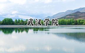 武汉学院2024在山东录取分数线是多少？最低491分/最高508分