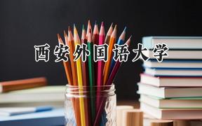 西安外国语大学2024在青海录取分数线是多少？最低393分/最高528分