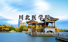 川北医学院2024在山东录取分数线是多少？最低545分/最高558分