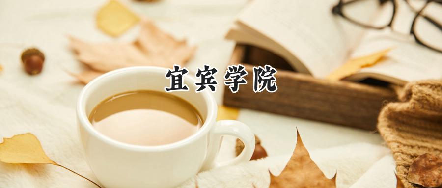 宜宾学院