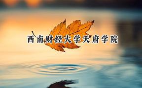 西南财经大学天府学院2024在福建录取分数线是多少？最低446分/最高489分