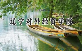 辽宁对外经贸学院2024在山东录取分数线是多少？最低483分/最高494分