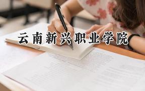云南新兴职业学院2024在青海录取分数线是多少？最低218分/最高271分