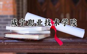 咸宁职业技术学院2024在山东录取分数线是多少？最低379分/最高461分
