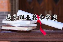咸宁职业技术学院2024在山东录取分数线是多少？最低379分/最高461分