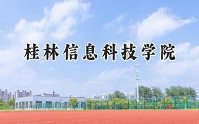 桂林信息科技学院2024在福建录取分数线是多少？最低411分/最高478分