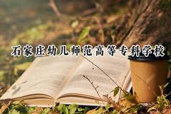 石家庄幼儿师范高等专科学校2024在青海录取分数线是多少？最低290分/最高340分
