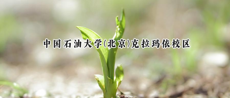 中国石油大学(北京)克拉玛依校区