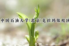 中国石油大学(北京)克拉玛依校区2024在新疆录取分数线是多少？最低441分/最高492分