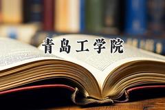 青岛工学院2024在福建录取分数线是多少？最低438分/最高480分