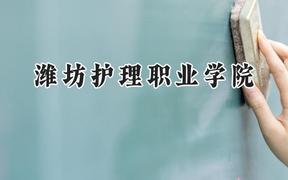 潍坊护理职业学院2024在山东录取分数线是多少？最低320分/最高497分