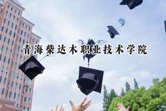 青海柴达木职业技术学院2024在青海录取分数线是多少？最低254分/最高309分