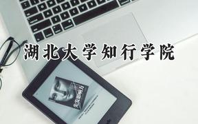 湖北大学知行学院2024在山东录取分数线是多少？最低460分/最高501分