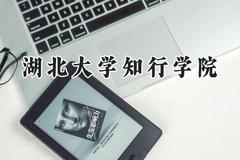 湖北大学知行学院2024在山东录取分数线是多少？最低460分/最高501分