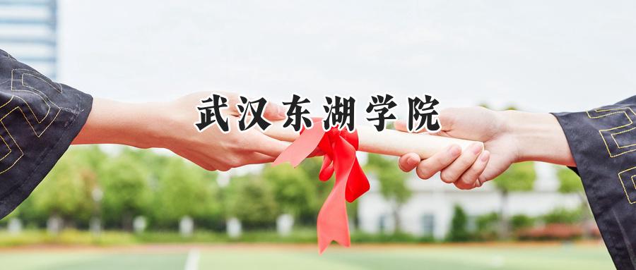 武汉东湖学院