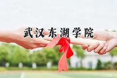 武汉东湖学院2024在青海录取分数线是多少？最低325分/最高401分