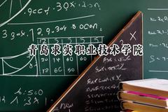 青岛求实职业技术学院2024在青海录取分数线是多少？最低221分/最高295分