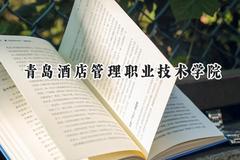 青岛酒店管理职业技术学院2024在山东录取分数线是多少？最低339分/最高488分
