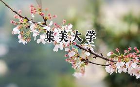集美大學2024在福建錄取分數(shù)線是多少？最低534分/最高584分