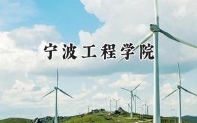 宁波工程学院2024在青海录取分数线是多少？最低345分/最高430分